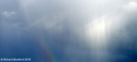 L1000968