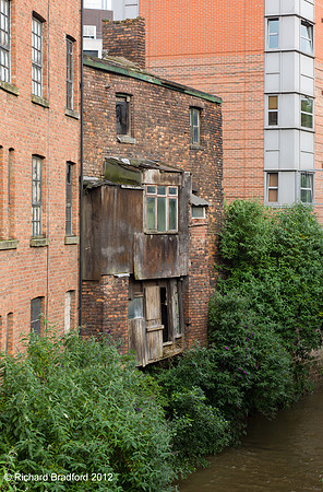 L1000173