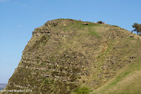 L1004602