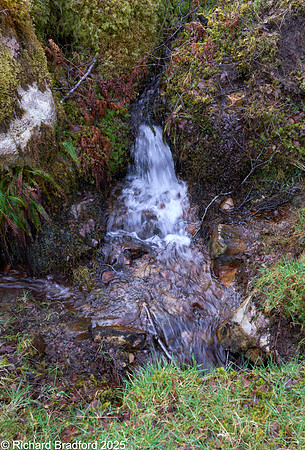 _DSC0636