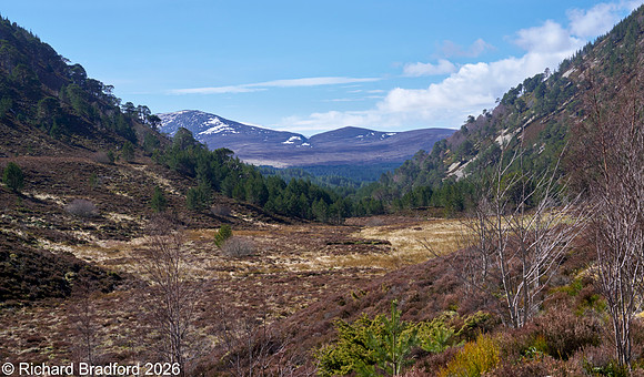 _DSC1246