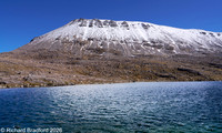 _DSC1372