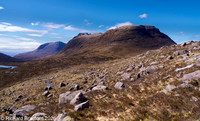 _DSC1390