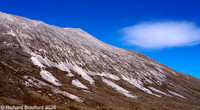_DSC1396