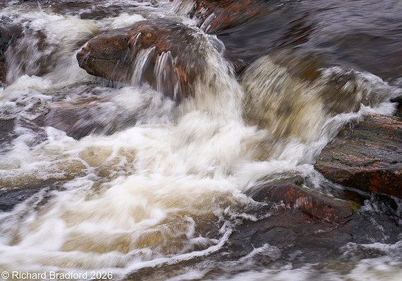 _DSC1215