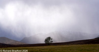_DSC1231