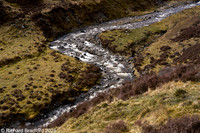 _DSC1220