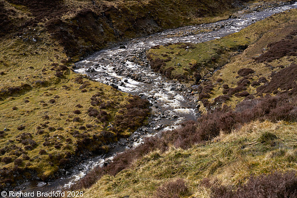 _DSC1220