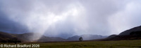 _DSC1238