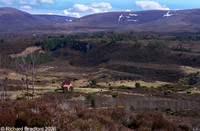 _DSC1249