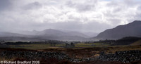 _DSC1287