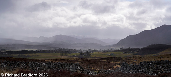 _DSC1287