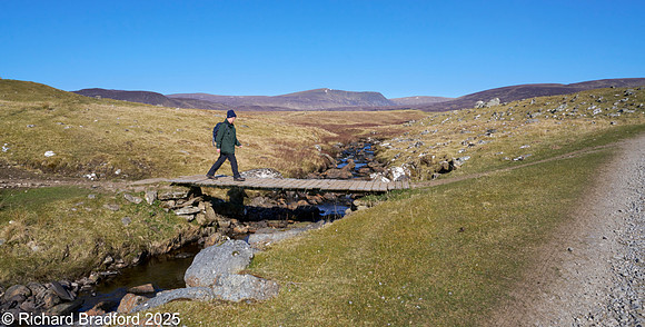 _DSC0913