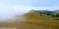 _DSC1819