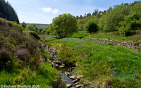 Cheshire, Lancashire, & Manchester