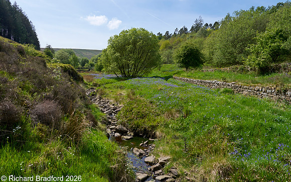 _DSC1442