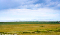 _DSC1813