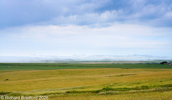 _DSC1813