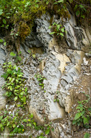 L1003851