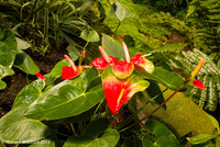 L1003087AdobeRGB