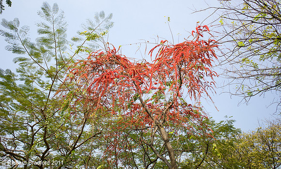 L1000610-2