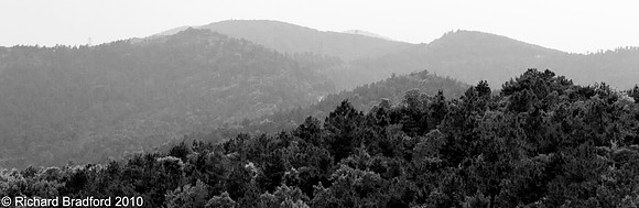 P1000825bw