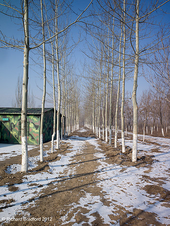 L1000257