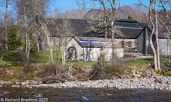 _DSC0964