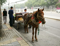 Beijing 北京