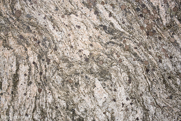L1000472
