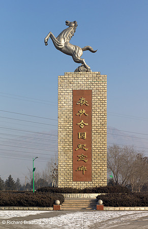 L1000249