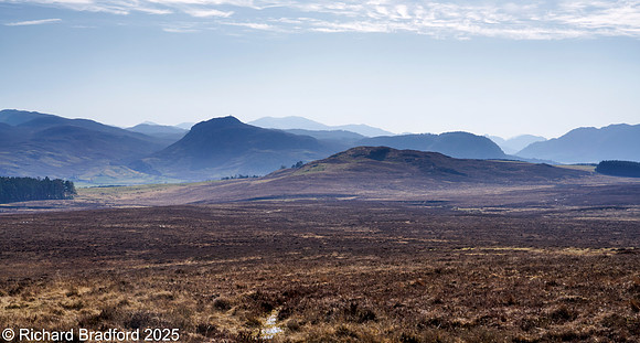 _DSC0870