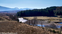 _DSC0780