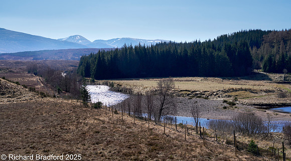 _DSC0780