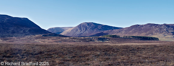 _DSC0891