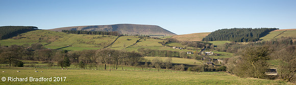 L1001435