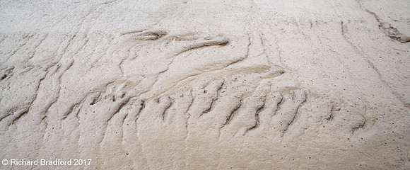 L1002812