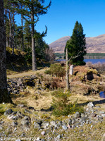 _DSC0801