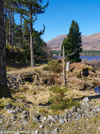 _DSC0801