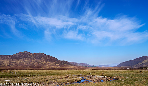 _DSC0885