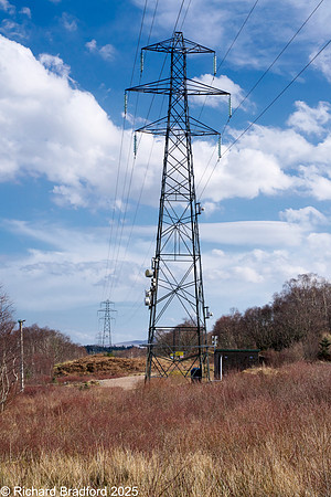 _DSC0630