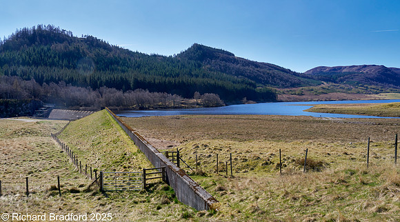 _DSC0834