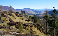 _DSC0804