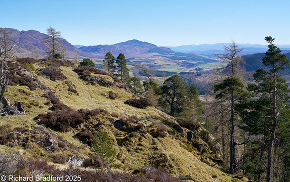_DSC0804