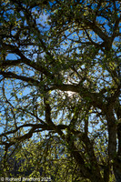 _DSC0741