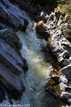 _DSC0997
