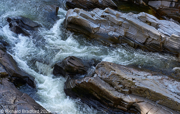 _DSC0991