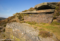 L1000869-2