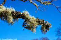 _DSC0762