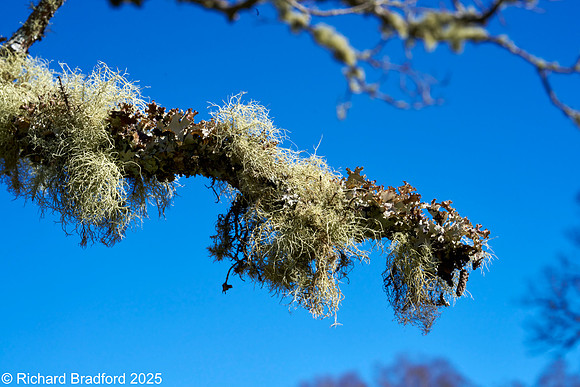 _DSC0762